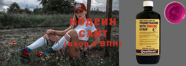 герыч Мегион