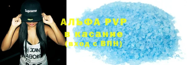 индика Медногорск