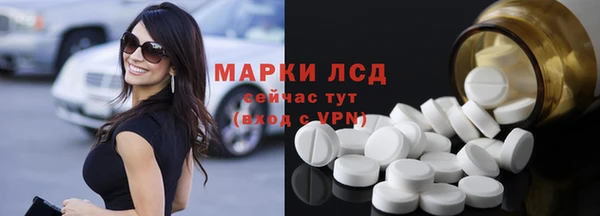 PSILOCYBIN Щигры