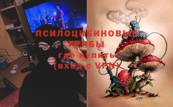 индика Медногорск