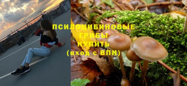 герыч Мегион