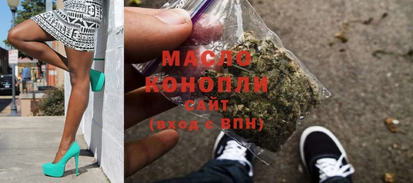 индика Медногорск