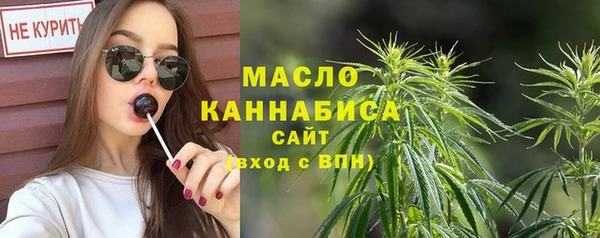 индика Медногорск