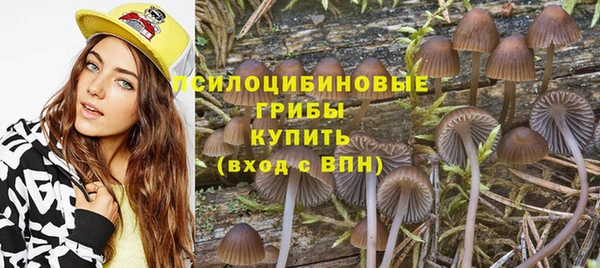 герыч Мегион