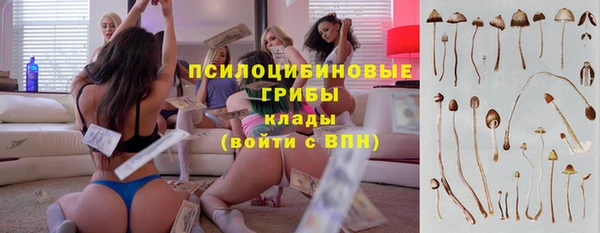 герыч Мегион