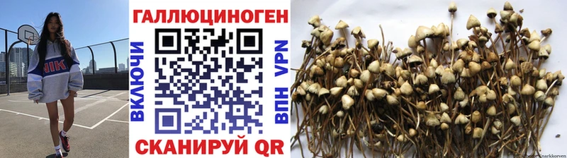 Псилоцибиновые грибы прущие грибы  где найти   Карачев 